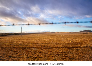 Australian Farm In Drought