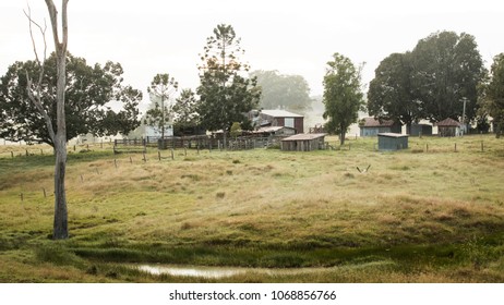 Australian Farm Lands In Queensland During A Foggy Morning