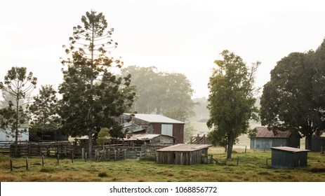 Australian Farm Lands In Queensland During A Foggy Morning