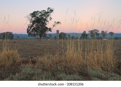 Australian Farm Paddock Background With Tree Feature