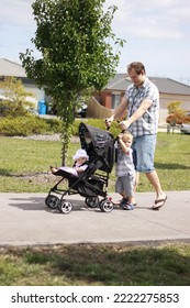 An Australian Father Pushing A Baby In A Pram With His Toddler Son On A Warm Sunny Day