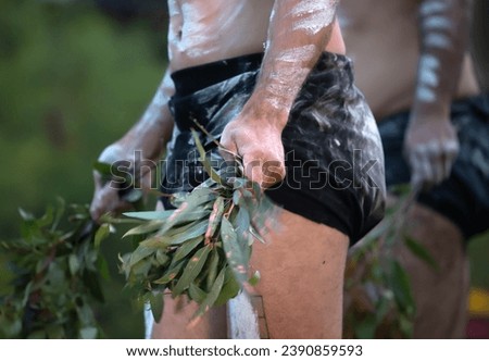Australian Indigenous Ceremony, man's hand with green branches, start a dance for a ritual rite at a community event in Adelaide, South Australia