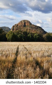 Australian Landscape