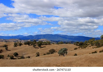 Australian Landscape