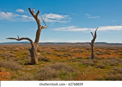 The Australian Landscape, South Australia