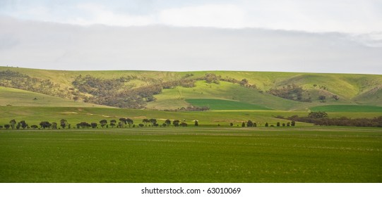 The Australian Landscape, South Australia