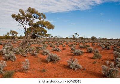 The Australian Landscape, South Australia