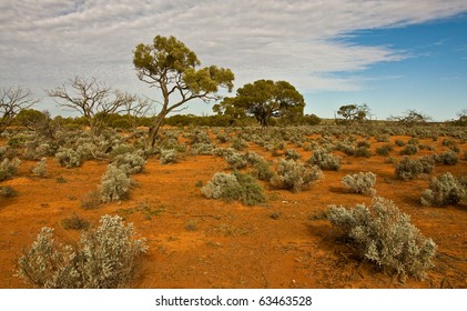 The Australian Landscape, South Australia