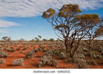 The Australian Landscape, South Australia