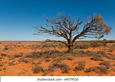 The Australian Landscape, South Australia