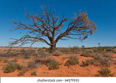 The Australian Landscape, South Australia