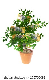 Australian Money - Aussie Currency - Money Tree