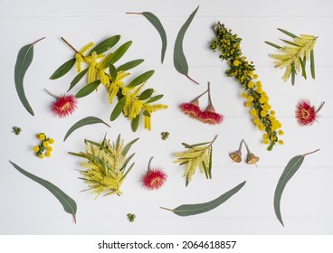 Australian Native Eucalyptus Leaves And Flowering Red Gun Nuts Plus Wattles Acacia Leaves And Yellow Flowers, Photographed From Above On A Rustic White Background.