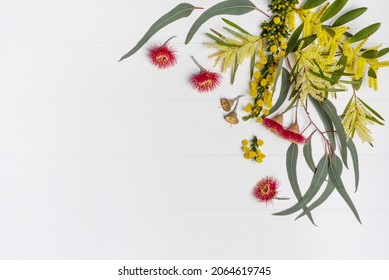 Australian Native Eucalyptus Leaves And Flowering Red Gun Nuts Plus Wattles Acacia Leaves And Yellow Flowers, Photographed From Above On A Rustic White Background.