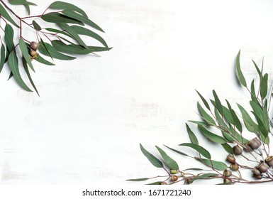 Australian Native Eucalyptus Leaves And Gum Nuts On A White Wooden Background Photographed From Above. Space For Copy.