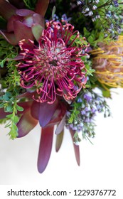 Australian Native Flowers