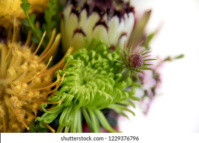 Australian Native Flowers