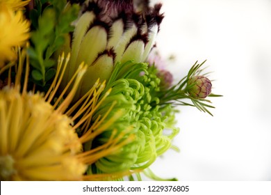 Australian Native Flowers