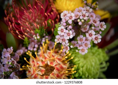 Australian Native Flowers