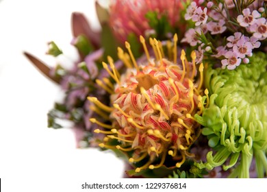 Australian Native Flowers