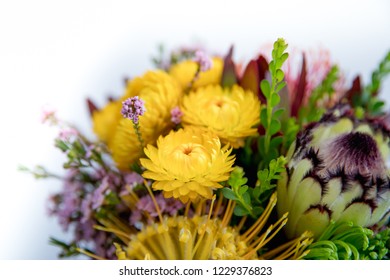 Australian Native Flowers