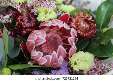 Australian Native Flowers