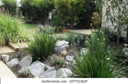 Australian Native Garden With Wooden Steps 