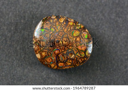 Australian natural light brown matrix boulder multi color play neon blue, green and red veins opal freeform oval cabochon polished loose gemstone on gray pattern background. For making jewelry. Stock photo © 