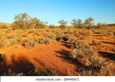 Australian Outback