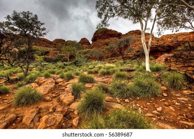 Australian Outback