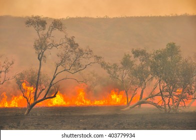 Australian Outback Bush Fires