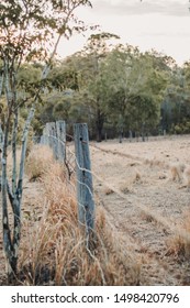 Australian Outback Fence.