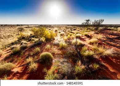 Australian Outback In Hot Sunshine