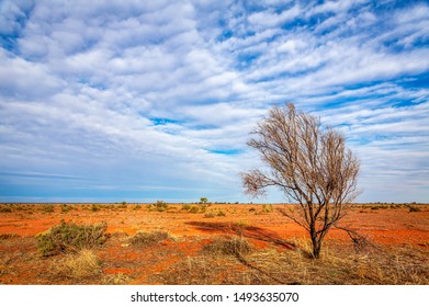 An Australian Outback Landscape, Dry Red Soils Bake Under A Rich Blue Sky