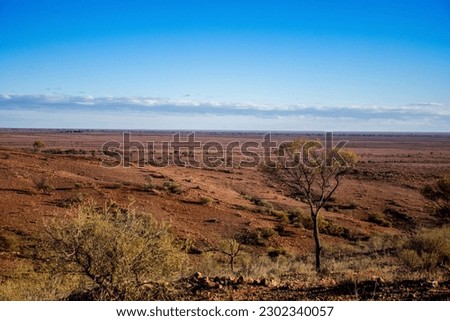Australian outback landscape nature. View from Mundi Mundi Lookout near Broken Hill, Outback NSW, Australia