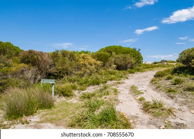 Australian Outback Landscape With Unsealed Road, Fire Trail. Australia Nature Landscape