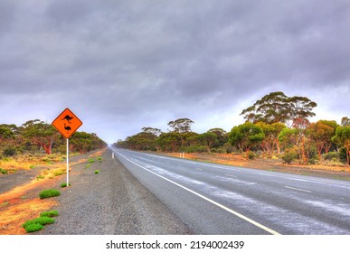 Australian Outback Road Across The Bush