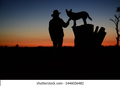 Australian Outback Sunset Silhouette Cowboy And Kelpie Working Dog