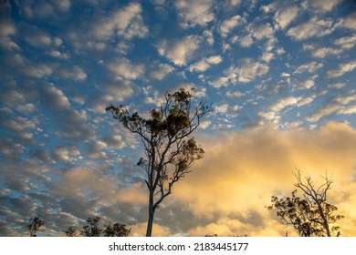 Australian Outback Sunset With Unique Clouds. 