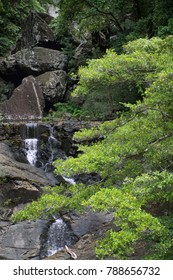 Australian Rainforest Waterfall Near Cairns Tropical North Queensland