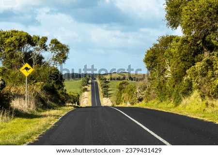 Australian road with iconic Kangaroo crossing signal