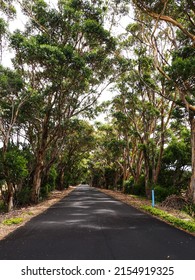 Australian Road In The Middle Of Nowhere - Long Empty Street  Road In Australia