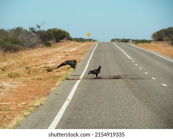 Australian Road In The Middle Of Nowhere - Long Empty Street  Road In Australia