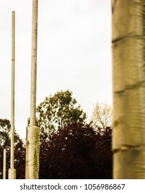 Australian Rules Football Goal Posts