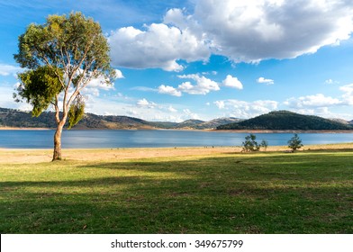 Australian rural landscape with eucalyptus, lake and kangaroos in a distance