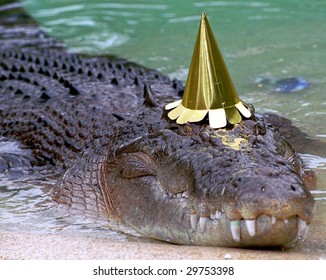 australian crocodile hat