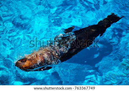 Image, Stock Photo driftwood Wood Lake Tree