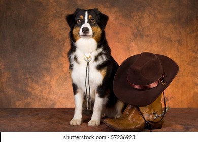 Australian Shepherd With Cowboy Hat And Boots