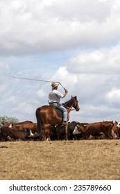 Australian Stockman