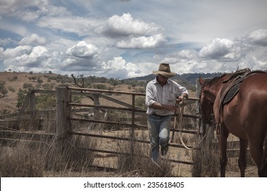 Australian Stockman With Horse